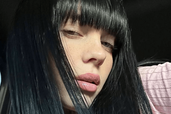 Fans were in meltdown with the Billie Eilish’s sexiest photo ever in a sheer corset and stockings